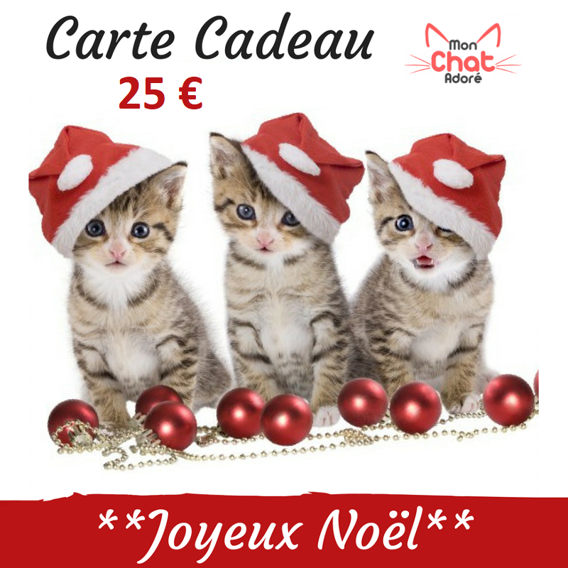 Carte Cadeau Noël