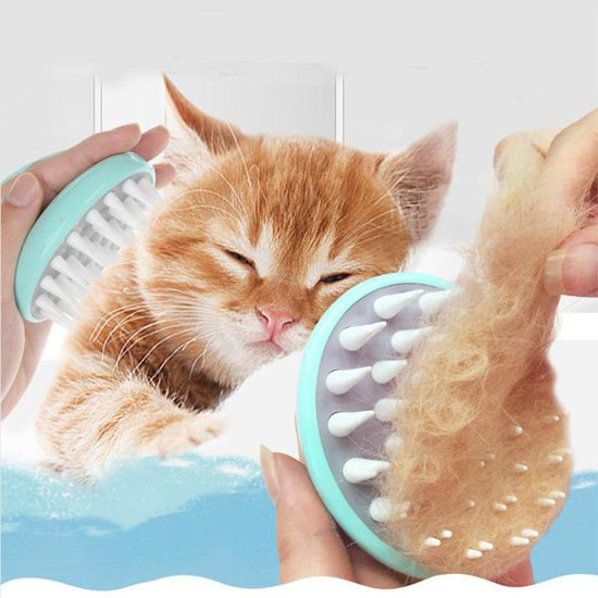 Gants Anti-poils Pour Chat/chien – 2 Pièces, Double Face, Réutilisables, Lavables, élimination Poils Morts